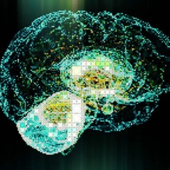 Le Brain Damage 26-2-20