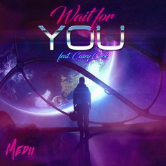 Wait For You (feat. Casey Cook)