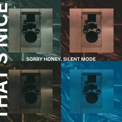 Sorry Honey. Silent Mode