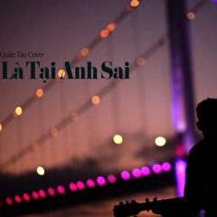 Là Tại Anh Sai - QUÂN TÁO COVER