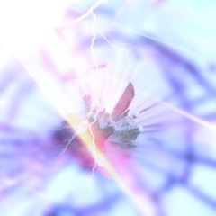 As the Mirror Cracks
