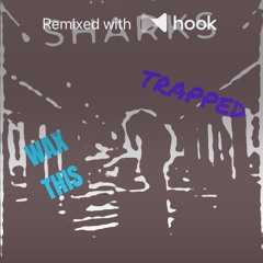 Lil Wayne - Sharks (feat. Jelly Roll, Big Sean) (@rapjulio Hook Remix)