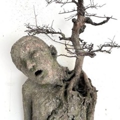 november25 clips avec hime hadif10k bkwds vnknwn