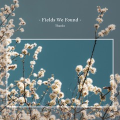 Fields We Found - Thanks (Album Mini-Mix)