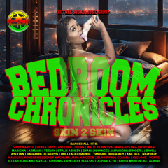 Bedroom Chronicles Skin 2 Skin