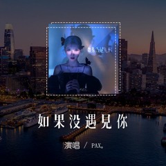 PAX - 如果沒遇見你「如果 從開始就沒遇見你，是否會比現在如意」【動態歌詞/pīn yīn gē cí】