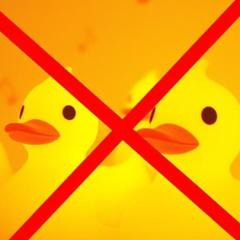 There Aint No Ducks