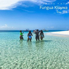 n a s t y  n a t e - Fungua Kinywa. Day 533 - AFRO HOUSE