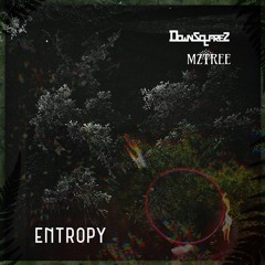 Entropy (w/ DownsquareZ)