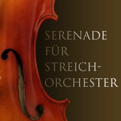 Serenade for String Orchestra C major op. 15 (work in progress)