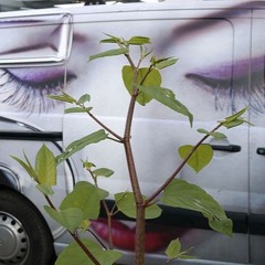 Forgive Everything Vol. 7