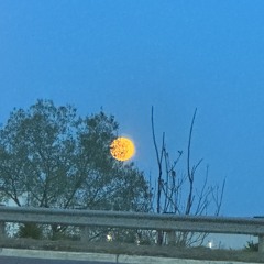 2025_01_23_type_shi_softmix3_no_drums.m4a