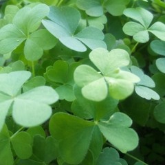 acumulando dias #NewGEN