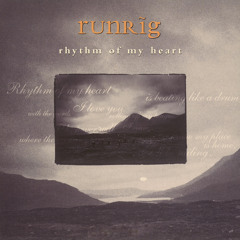 Rhythm of My Heart (Radio Edit)