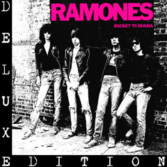 Sheena Is a Punk Rocker (2005 Remaster)