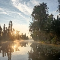 Historias: Agricultura biodinámica en Xochimilco