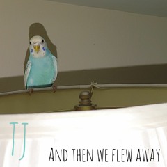 And Then We Flew Away