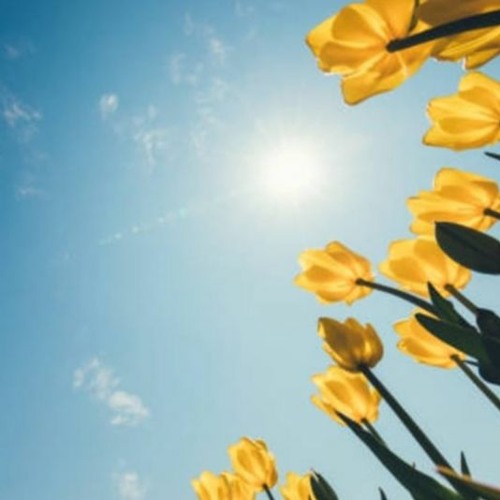 DJ Sjoerd Feyen @ PaasMix 2023