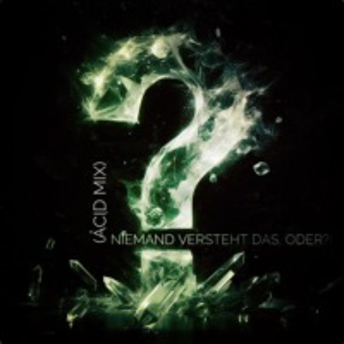 Niemand versteht DAS,oder?(Acid Mix)