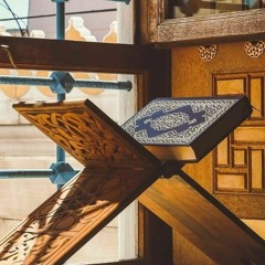 فاطر _ محمود حسنين الكلحي