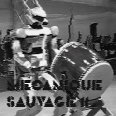 mécanique_sauvage_11