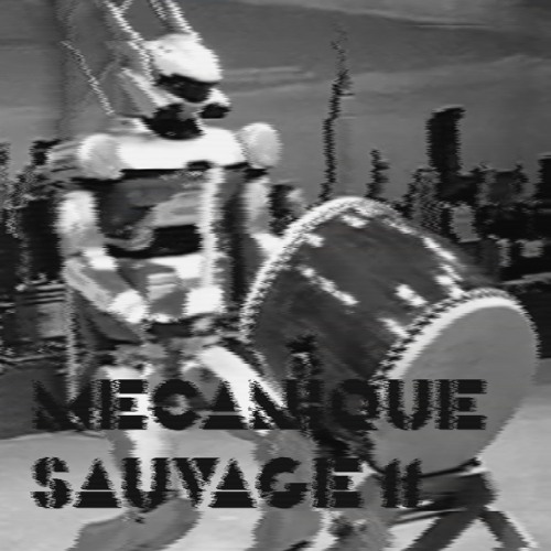 mécanique_sauvage_11