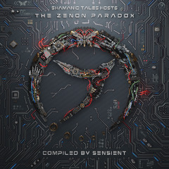 The Zenon Paradox (official Dj Mix by Sensient)