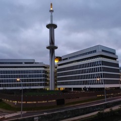 À fond, la forme - TATITATI ... , de Bruno Peinado