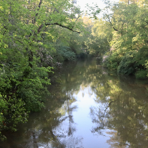 Engaging with the Mystery of Life