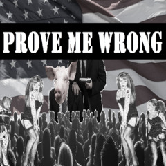 PROVE ME WRONG