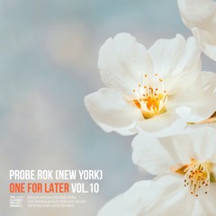 One for Later Vol.10 - Probe Rok (2023)