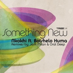 Something New (Josh Milan's Honeycomb Vocal) [feat. Botshelo Huma]