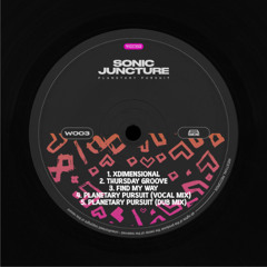 *PREMIERE* Sonic Juncture - Planetary Pursuit (Vocal Mix)