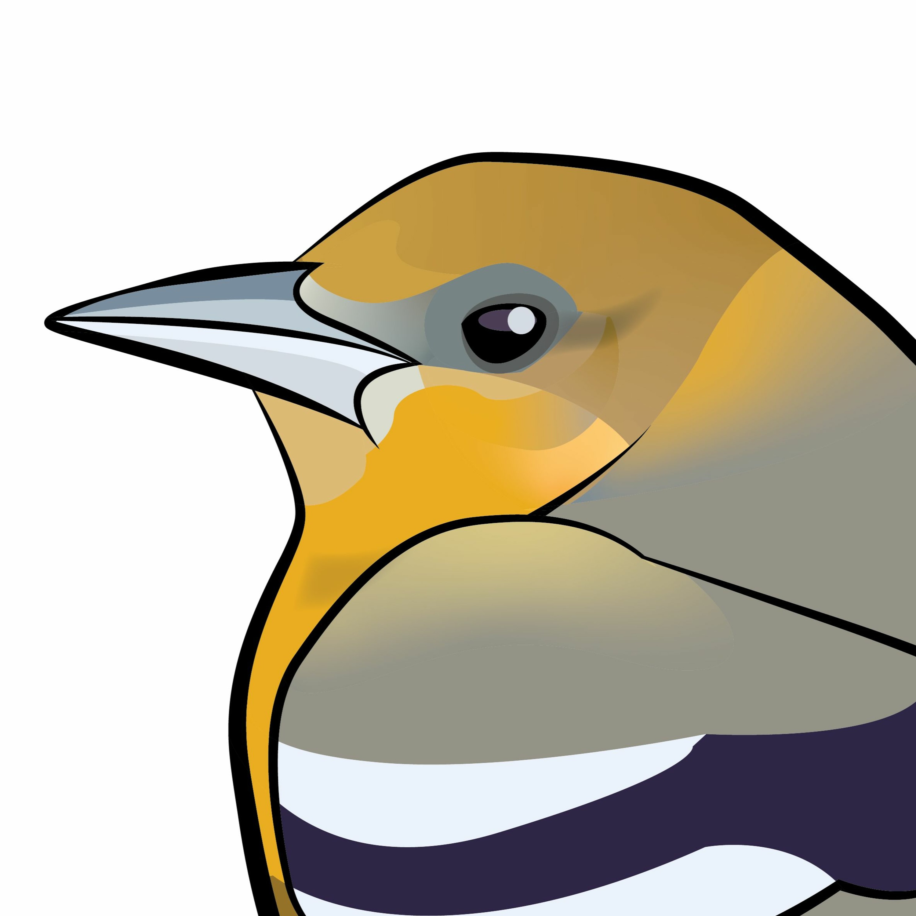 Pippipodden