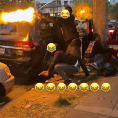 bloom- what did i expect (dont tip) *stxklen*