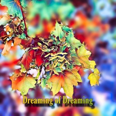 Dreaming of Dreaming
