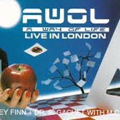 AWOL 1992/94 RAVE