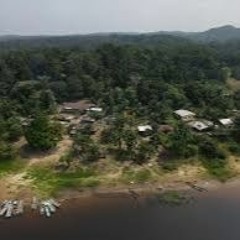 Community forestry in the DRC and Gabon