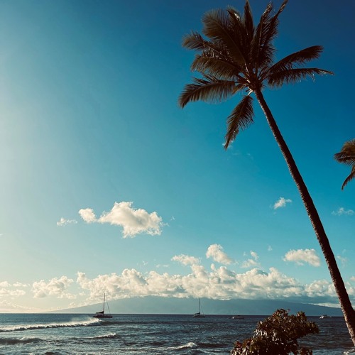 Yonaguni (AVKW & 1lo flip) - Bad Bunny