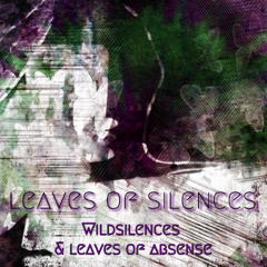 Wildsilences - Let You Fall (with music by leaves of absense)