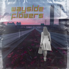 Wayside Flowers