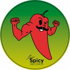Super Spicy Recipe Vol. 5**12" Vinyl Exclusive**Preview**[SSPCYW005]