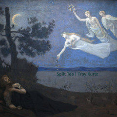 Troy Kurtz - Spilt Tea