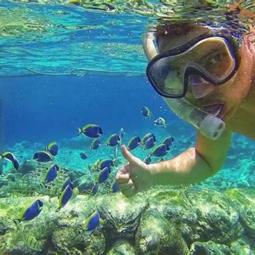 Best Puerto Rico Snorkeling San Juan Prices Reviews