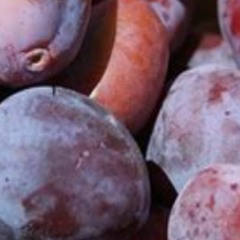 Flazo Prunes