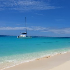 LAWS - I Just Wanna Be