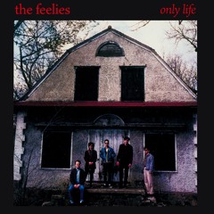 Only Life(The Feelies cover)