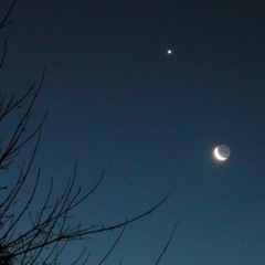 A star next to the moon  ‌ ‌28