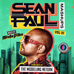 Mista Bibs - Sean Paul Bring It On Tour Mashup Mix Volume 1