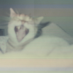 cure [rain in my heart+]...